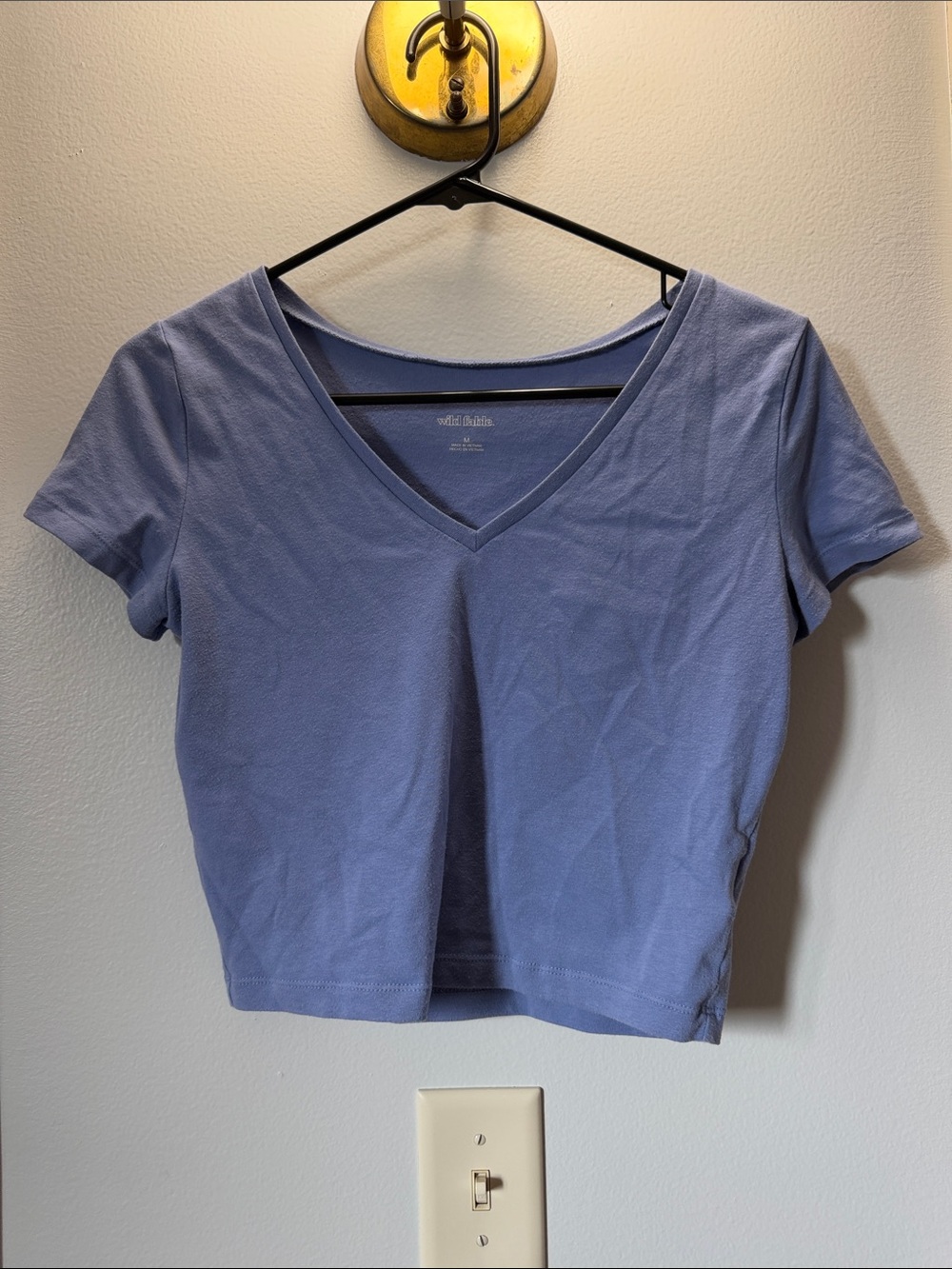wild fable Lavender V-Neck Crop Tee